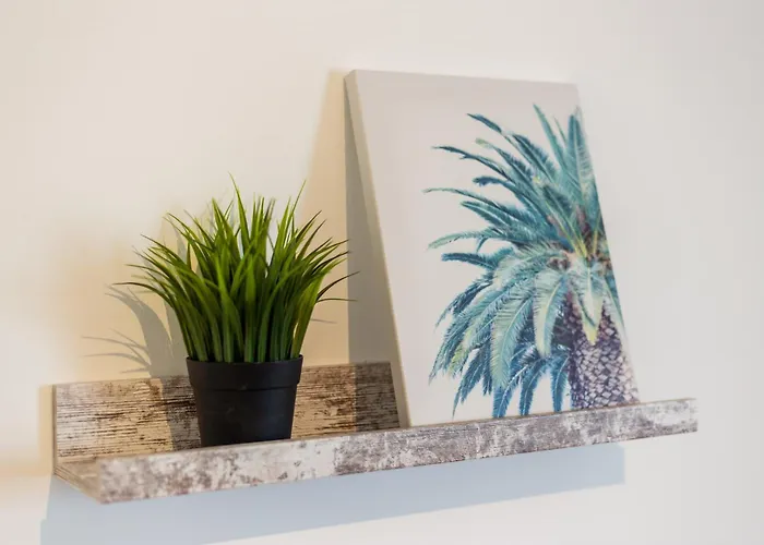 Blife Faya Private * District de Faro